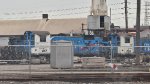 CWRO 217